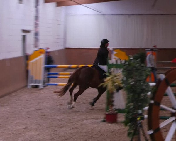 Reitturnier Lentzke - Reitanlage Krehl 2022