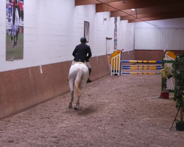 Reitturnier Lentzke - Reitanlage Krehl 2022