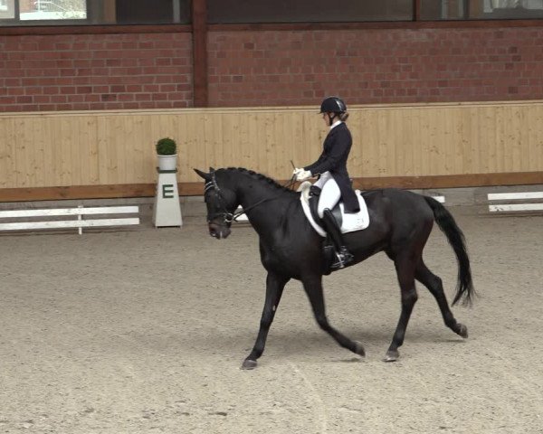 Reitturnier Hamburg-Friedrichshulde/Sylva Kuhrt 2022
