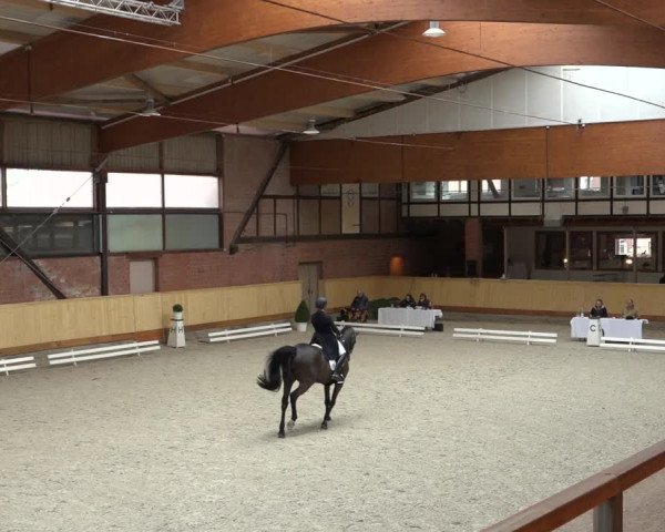 Reitturnier Hamburg-Friedrichshulde/Sylva Kuhrt 2022