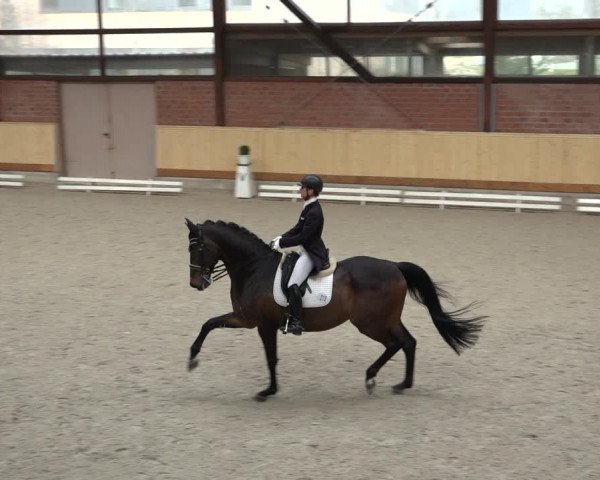 Reitturnier Hamburg-Friedrichshulde/Sylva Kuhrt 2022