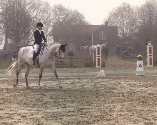 Reitturnier Schülp / Rendsburg 2022