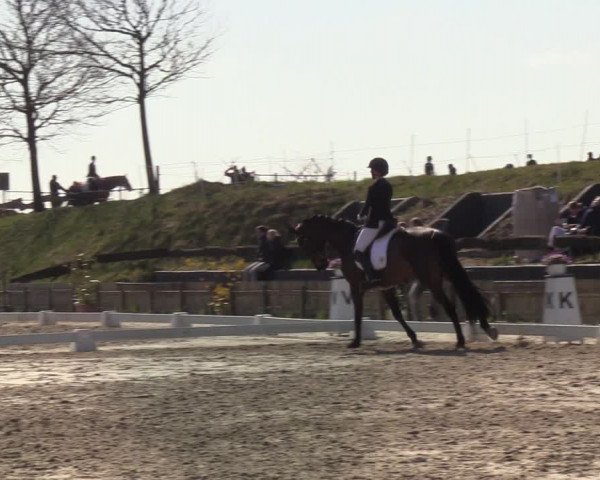 Reitturnier Schülp / Rendsburg 2022