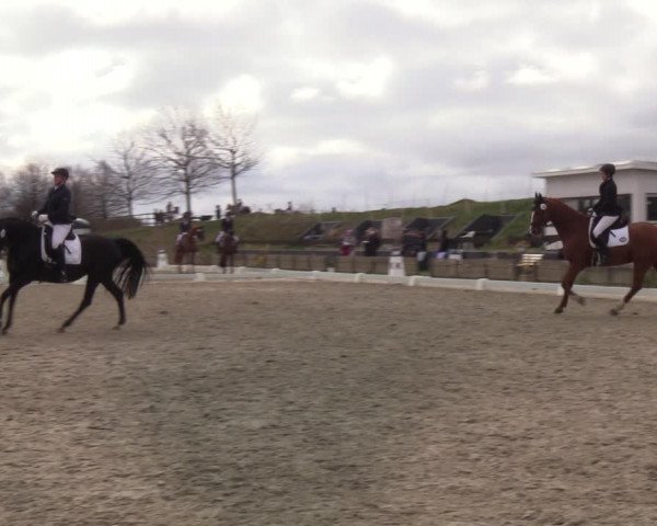Reitturnier Schülp / Rendsburg 2022
