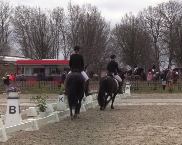 Reitturnier Schülp / Rendsburg 2022