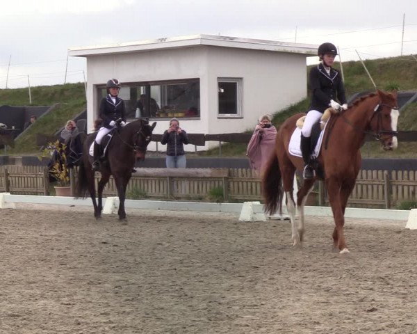 Reitturnier Schülp / Rendsburg 2022