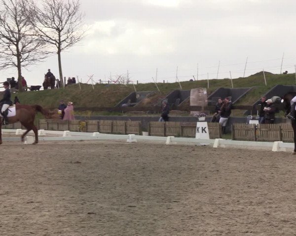 Reitturnier Schülp / Rendsburg 2022