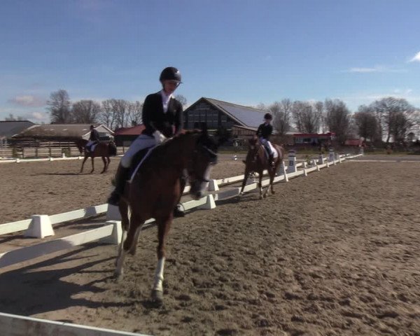 Reitturnier Schülp / Rendsburg 2022