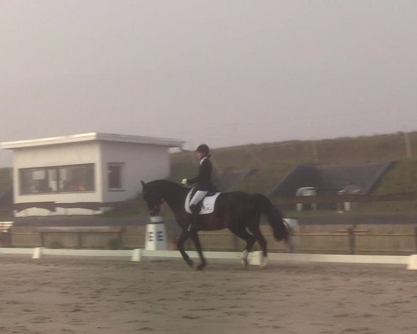 Reitturnier Schülp / Rendsburg 2022