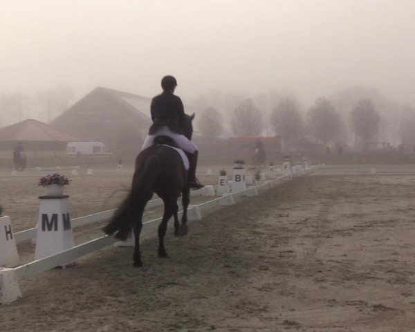 Reitturnier Schülp / Rendsburg 2022
