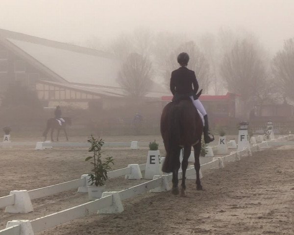 Reitturnier Schülp / Rendsburg 2022