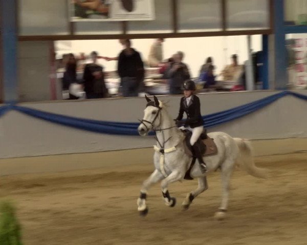 Reitturnier Buchs 2022