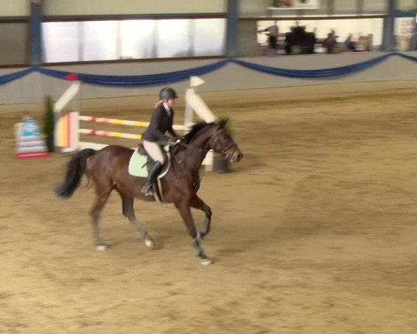 Reitturnier Buchs 2022