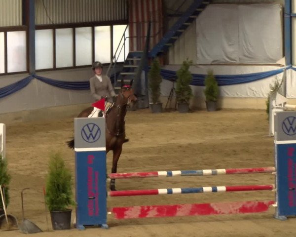 Reitturnier Buchs 2022