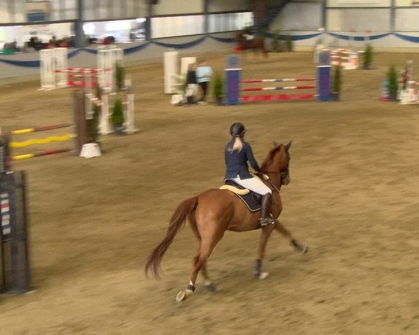 Reitturnier Buchs 2022