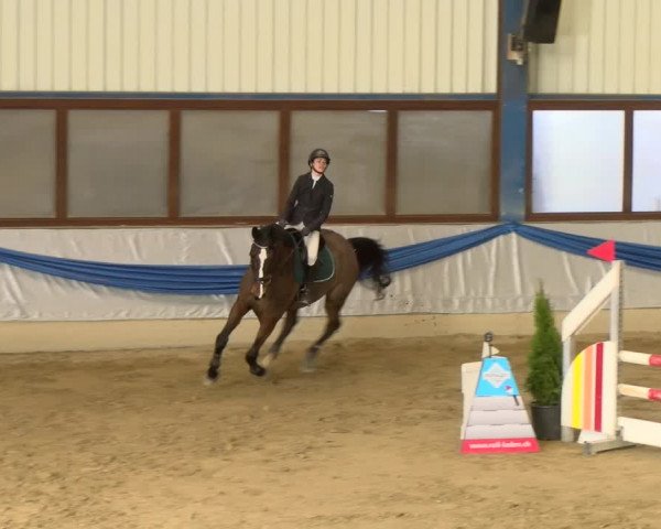 Reitturnier Buchs 2022