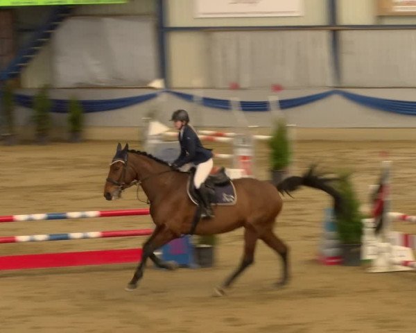 Reitturnier Buchs 2022