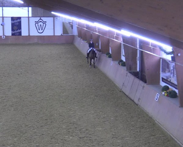 Reitturnier Bad Salzuflen 2022