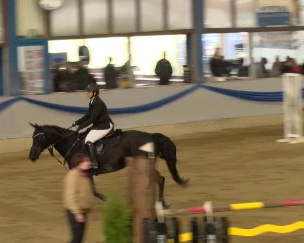 Reitturnier Buchs 2022