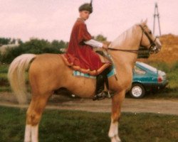 jumper Madryt (Great Poland (wielkopolska), 1983, from Oracz)