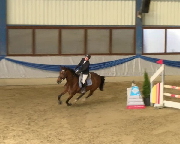 Reitturnier Buchs 2022