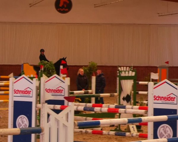 Reitturnier Lentzke - Reitanlage Krehl 2022
