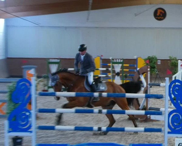 Reitturnier Lentzke - Reitanlage Krehl 2022