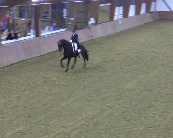 Reitturnier Bad Salzuflen 2022