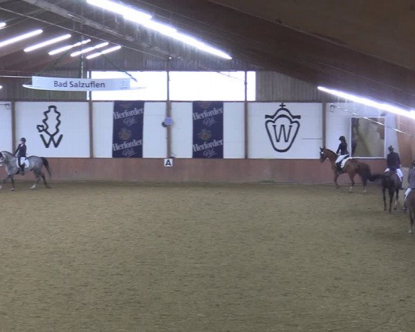 Reitturnier Bad Salzuflen 2022