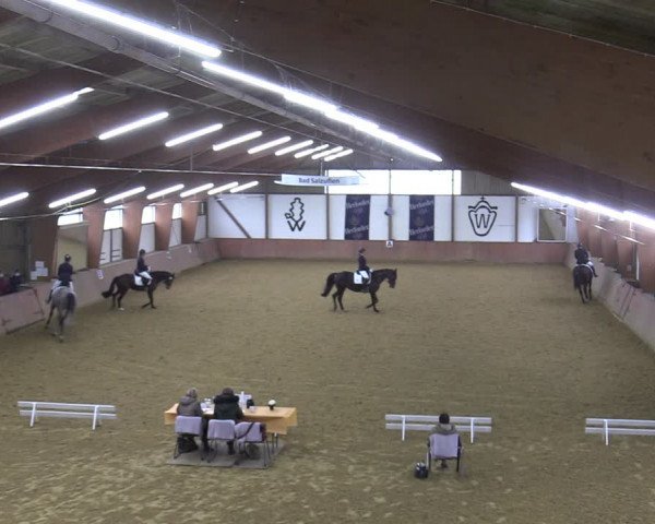 Reitturnier Bad Salzuflen 2022