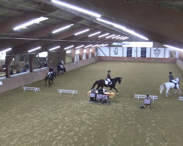 Reitturnier Bad Salzuflen 2022