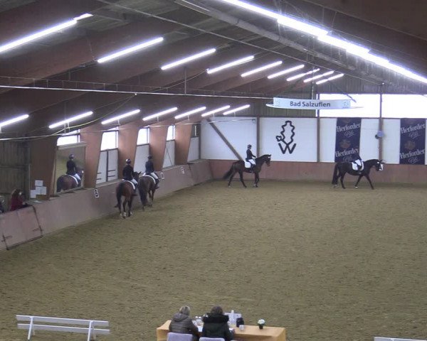 Reitturnier Bad Salzuflen 2022