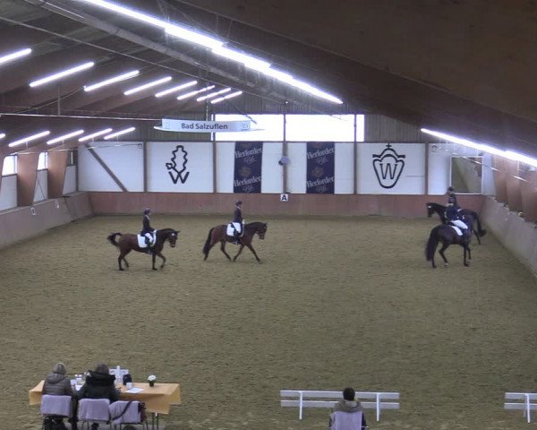 Reitturnier Bad Salzuflen 2022