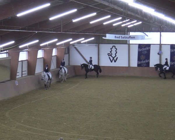 Reitturnier Bad Salzuflen 2022