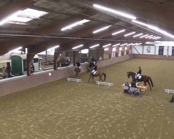 Reitturnier Bad Salzuflen 2022