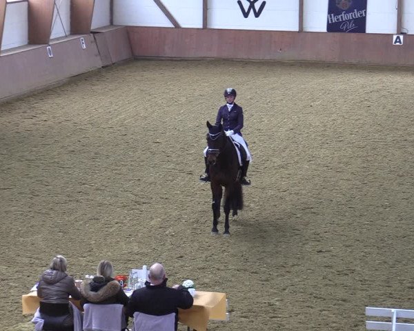 Reitturnier Bad Salzuflen 2022