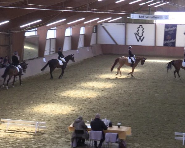 Reitturnier Bad Salzuflen 2022