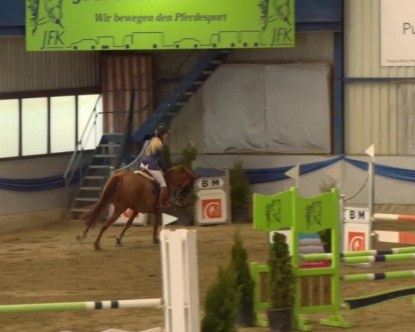 Reitturnier Buchs 2022