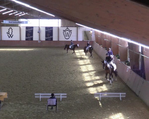 Reitturnier Bad Salzuflen 2022