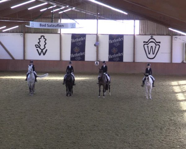 Reitturnier Bad Salzuflen 2022