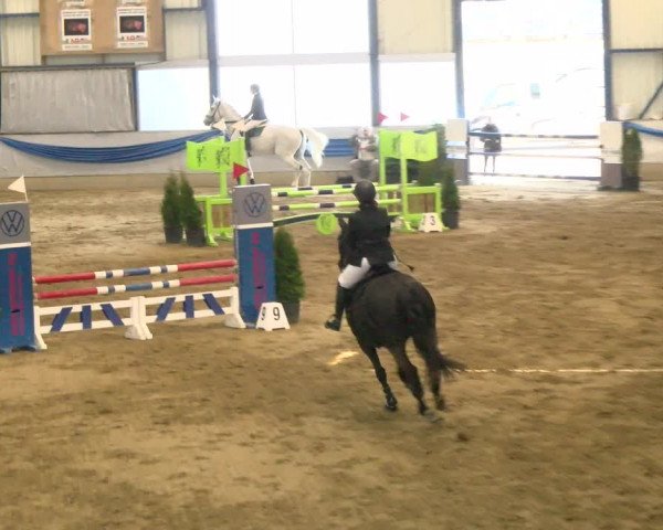 Reitturnier Buchs 2022