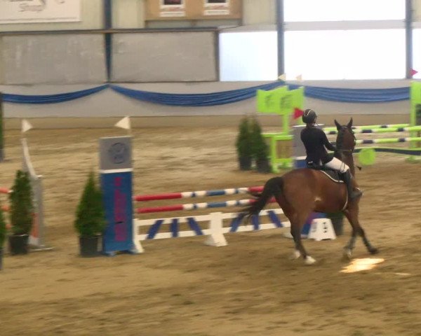 Reitturnier Buchs 2022