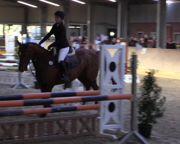 Reitturnier Ahaus 2022