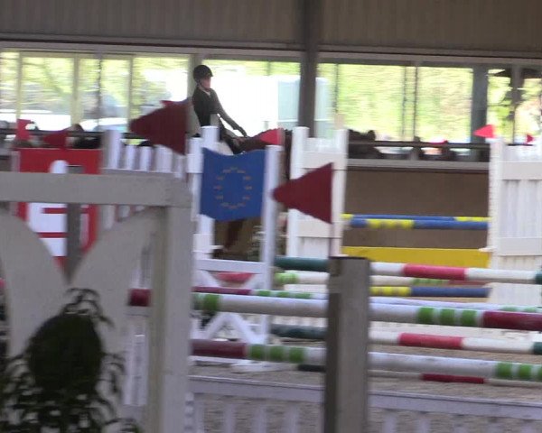 Reitturnier Ahaus 2022