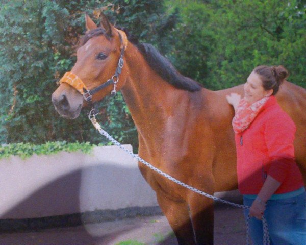horse Püppi (Westphalian, 2009, from Loutino) horse Püppi (Westphalian, 2009, from Loutino)