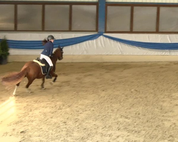 Reitturnier Buchs 2022