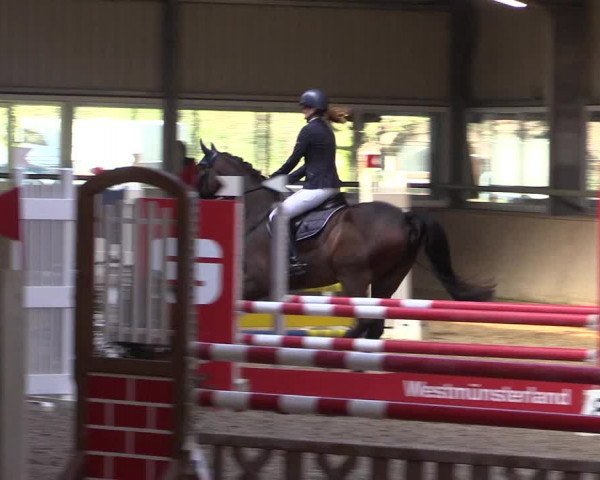 Reitturnier Ahaus 2022