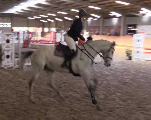 Reitturnier Ahaus 2022