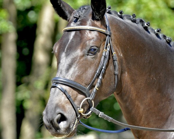 broodmare Fleur Delacour 10 (Hanoverian, 2009, from Fidertanz)