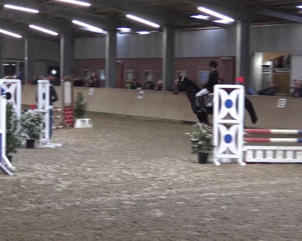 Reitturnier Ahaus 2022